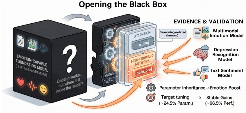 Opening the Black Box overview for affective modeling in multimodal foundation models